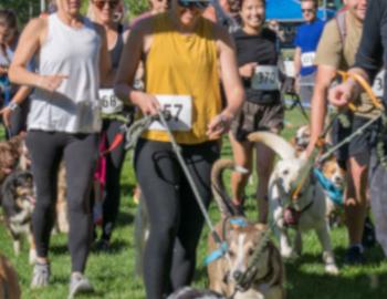 Tail Wagger Dog Friendly 5K