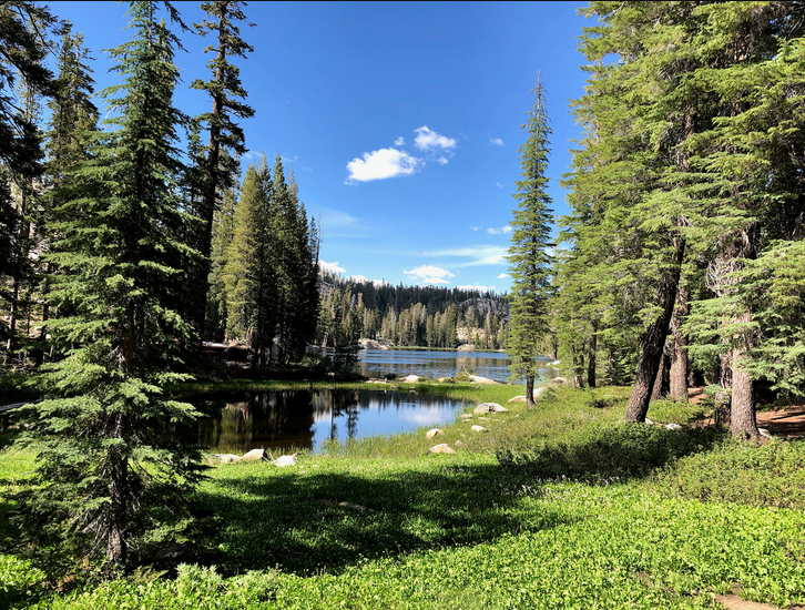 Tahoe mountain biking